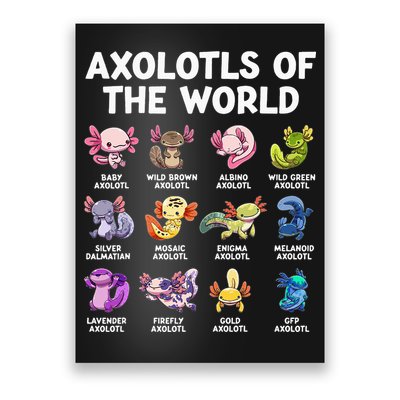 Axolotls Of The World Kawaii Types Of Axolotl Fish Poster