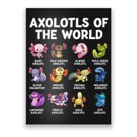 Axolotls Of The World Kawaii Types Of Axolotl Fish Poster