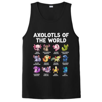 Axolotls Of The World Kawaii Types Of Axolotl Fish PosiCharge Competitor Tank