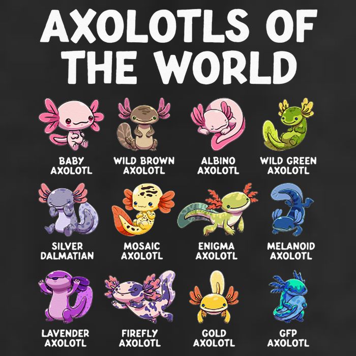 Axolotls Of The World Kawaii Types Of Axolotl Fish Trucker Hat