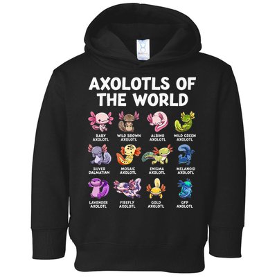 Axolotls Of The World Kawaii Types Of Axolotl Fish Toddler Hoodie