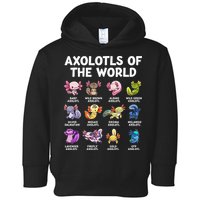 Axolotls Of The World Kawaii Types Of Axolotl Fish Toddler Hoodie