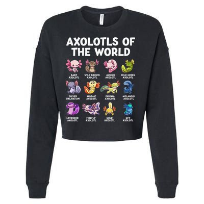 Axolotls Of The World Kawaii Types Of Axolotl Fish Cropped Pullover Crew