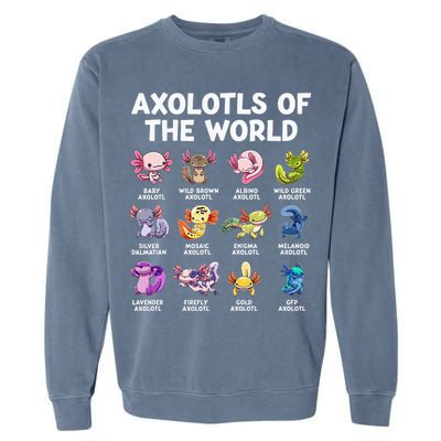 Axolotls Of The World Kawaii Types Of Axolotl Fish Garment-Dyed Sweatshirt