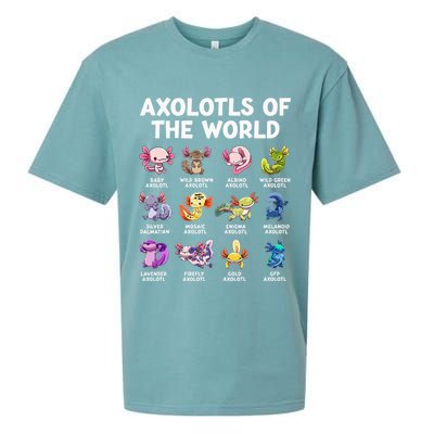 Axolotls Of The World Kawaii Types Of Axolotl Fish Sueded Cloud Jersey T-Shirt