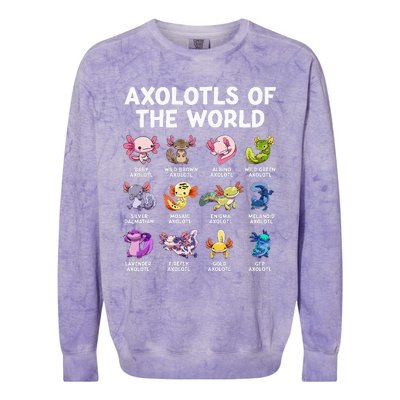 Axolotls Of The World Kawaii Types Of Axolotl Fish Amphibian Colorblast Crewneck Sweatshirt