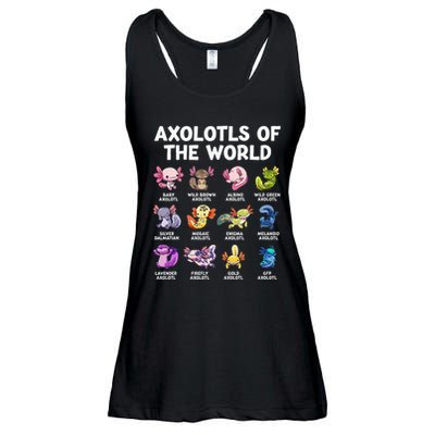 Axolotls Of The World Kawaii Types Of Axolotl Fish Amphibian Ladies Essential Flowy Tank