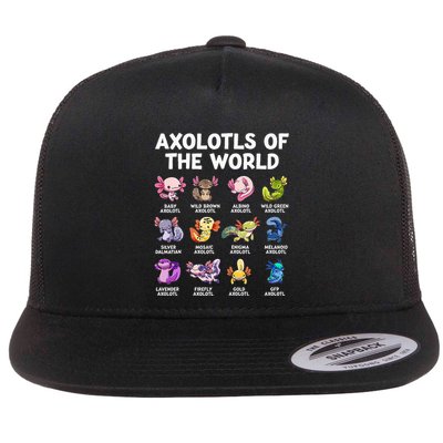 Axolotls Of The World Kawaii Types Of Axolotl Fish Amphibian Flatbill Hat