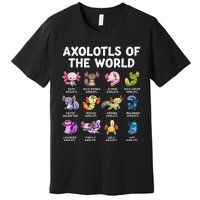 Axolotls Of The World Kawaii Types Of Axolotl Fish Amphibian Premium T-Shirt