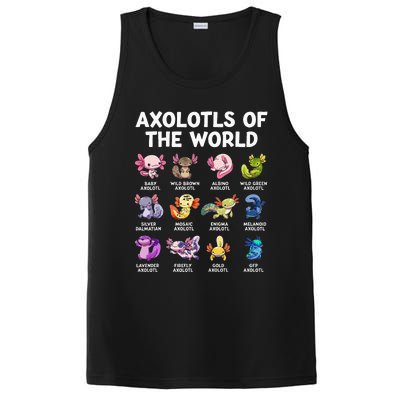 Axolotls Of The World Kawaii Types Of Axolotl Fish Amphibian PosiCharge Competitor Tank