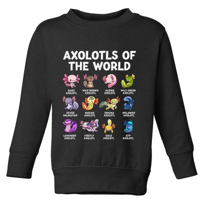 Axolotls Of The World Kawaii Types Of Axolotl Fish Amphibian Toddler Sweatshirt