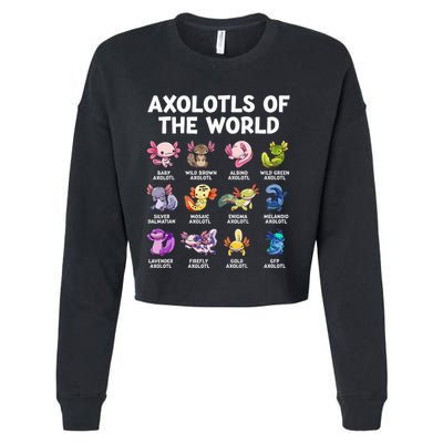 Axolotls Of The World Kawaii Types Of Axolotl Fish Amphibian Cropped Pullover Crew