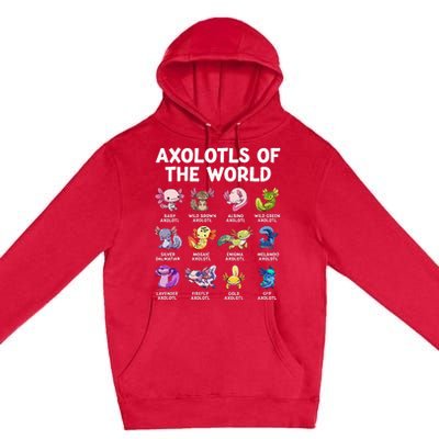 Axolotls Of The World Kawaii Types Of Axolotl Fish Amphibian Premium Pullover Hoodie