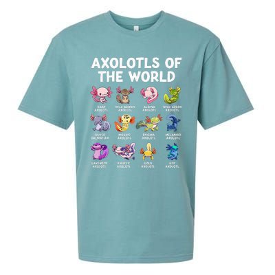 Axolotls Of The World Kawaii Types Of Axolotl Fish Amphibian Sueded Cloud Jersey T-Shirt