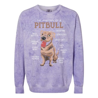 Anatomy Of The Pitbull Gift Pit Bull Bulldogs And Terriers Colorblast Crewneck Sweatshirt