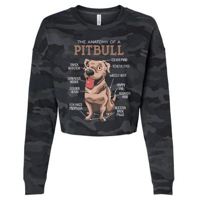 Anatomy Of The Pitbull Gift Pit Bull Bulldogs And Terriers Cropped Pullover Crew