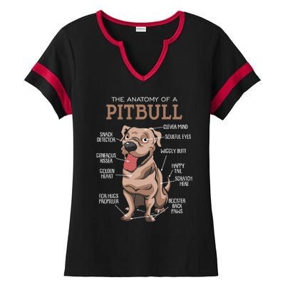 Anatomy Of The Pitbull Gift Pit Bull Bulldogs And Terriers Ladies Halftime Notch Neck Tee