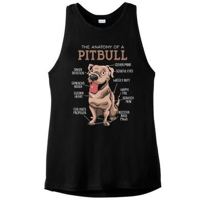 Anatomy Of The Pitbull Gift Pit Bull Bulldogs And Terriers Ladies PosiCharge Tri-Blend Wicking Tank