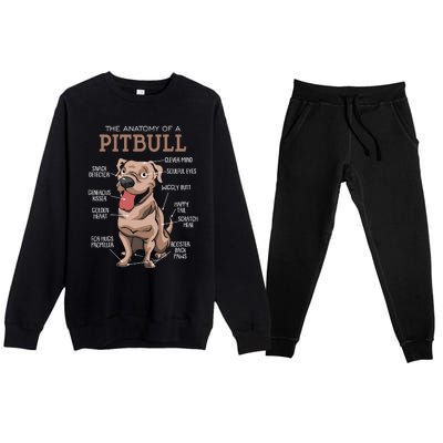 Anatomy Of The Pitbull Gift Pit Bull Bulldogs And Terriers Premium Crewneck Sweatsuit Set