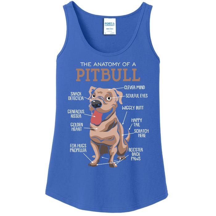 Anatomy Of The Pitbull Gift Pit Bull Bulldogs And Terriers Ladies Essential Tank