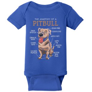 Anatomy Of The Pitbull Gift Pit Bull Bulldogs And Terriers Baby Bodysuit