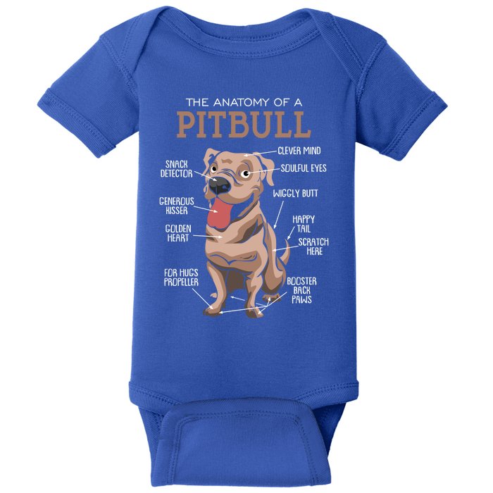 Anatomy Of The Pitbull Gift Pit Bull Bulldogs And Terriers Baby Bodysuit