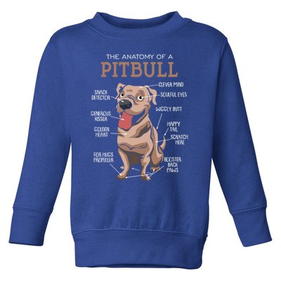 Anatomy Of The Pitbull Gift Pit Bull Bulldogs And Terriers Toddler Sweatshirt