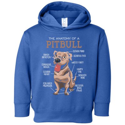 Anatomy Of The Pitbull Gift Pit Bull Bulldogs And Terriers Toddler Hoodie