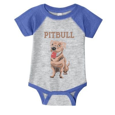 Anatomy Of The Pitbull Gift Pit Bull Bulldogs And Terriers Infant Baby Jersey Bodysuit