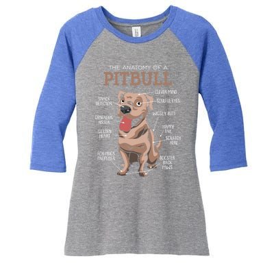 Anatomy Of The Pitbull Gift Pit Bull Bulldogs And Terriers Women's Tri-Blend 3/4-Sleeve Raglan Shirt