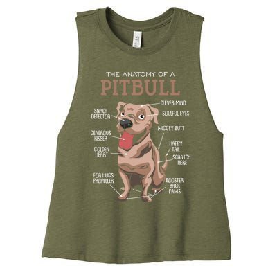 Anatomy Of The Pitbull Gift Pit Bull Bulldogs And Terriers Women's Racerback Cropped Tank