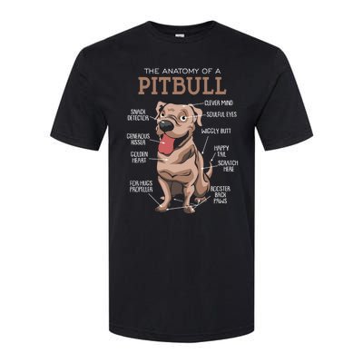 Anatomy Of The Pitbull Gift Pit Bull Bulldogs And Terriers Softstyle CVC T-Shirt