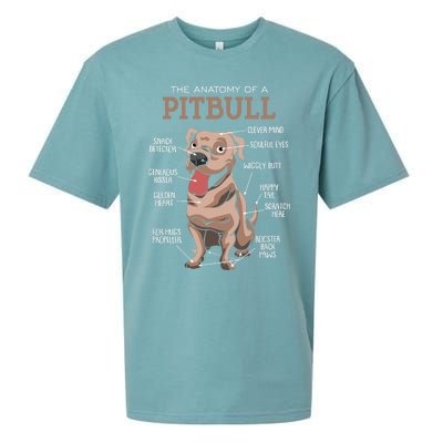 Anatomy Of The Pitbull Gift Pit Bull Bulldogs And Terriers Sueded Cloud Jersey T-Shirt