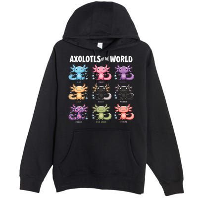 Axolotls Of The World Fun Colorful Cartoon Design Premium Pullover Hoodie
