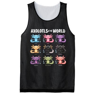 Axolotls Of The World Fun Colorful Cartoon Design Mesh Reversible Basketball Jersey Tank