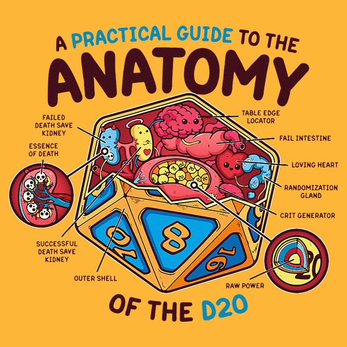 Anatomy Of The D20 Polyhedral 20 Sided Dice Funny RPG Pom Pom 12in Knit Beanie