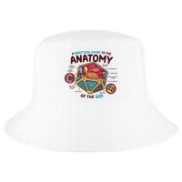 Anatomy Of The D20 Polyhedral 20 Sided Dice Funny RPG Cool Comfort Performance Bucket Hat