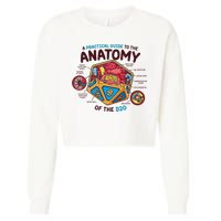 Anatomy Of The D20 Polyhedral 20 Sided Dice Funny RPG Cropped Pullover Crew
