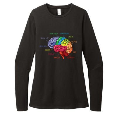 Anatomy Of The Brain Neurologist Gift Womens CVC Long Sleeve Shirt