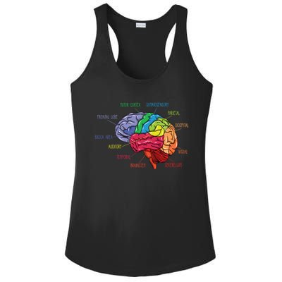 Anatomy Of The Brain Neurologist Gift Ladies PosiCharge Competitor Racerback Tank