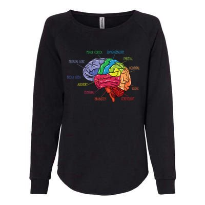 Anatomy Of The Brain Neurologist Gift Womens California Wash Sweatshirt