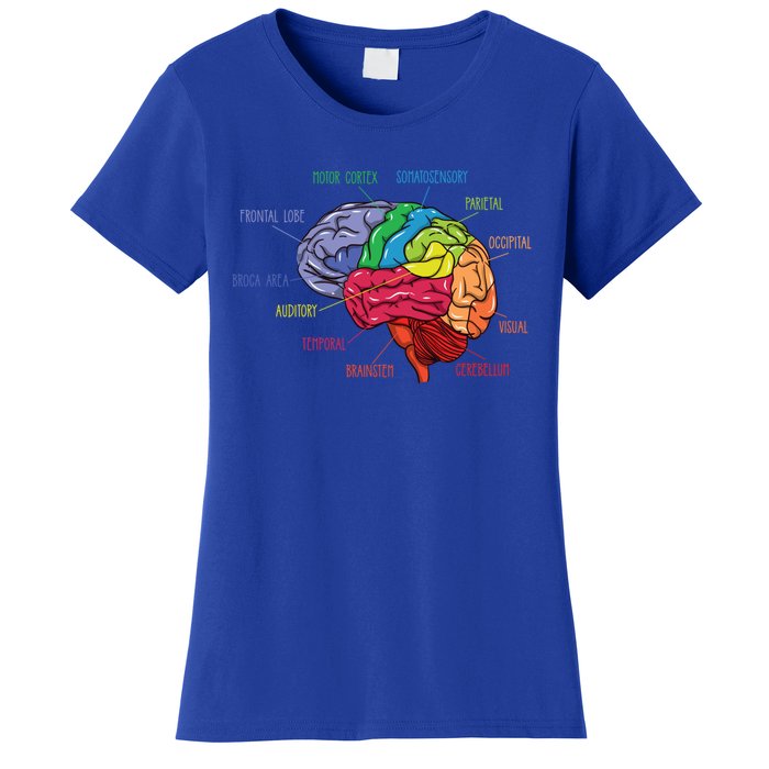 Anatomy Of The Brain Neurologist Gift Women's T-Shirt