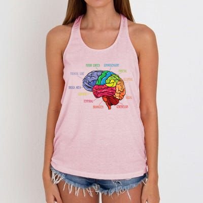 Anatomy Of The Brain Neurologist Gift Women's Knotted Racerback Tank