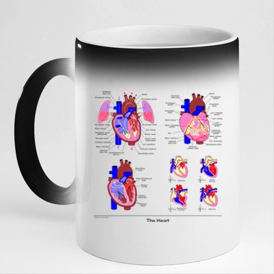 Anatomy Of The Heart Mug 11oz Black Color Changing Mug