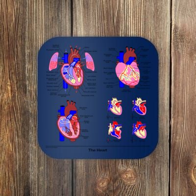 Anatomy Of The Heart Mug Coaster