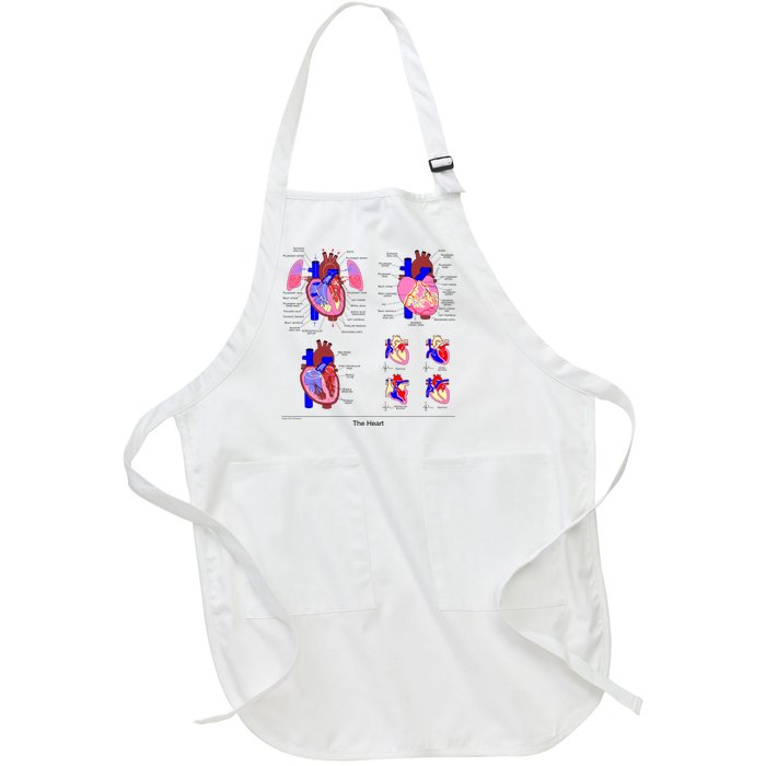 Anatomy Of The Heart Mug Full-Length Apron With Pockets