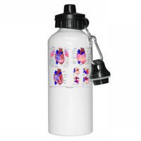 Anatomy Of The Heart Mug Aluminum Water Bottle