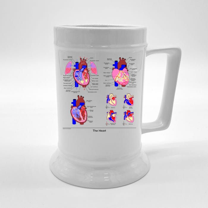 Anatomy Of The Heart Mug Beer Stein