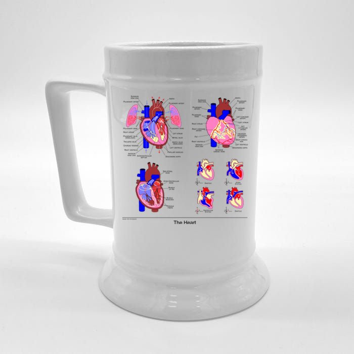 Anatomy Of The Heart Mug Beer Stein