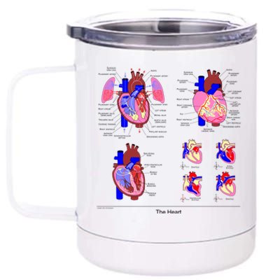 Anatomy Of The Heart Mug 12 oz Stainless Steel Tumbler Cup